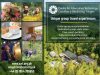 Centre for Alternative Technology